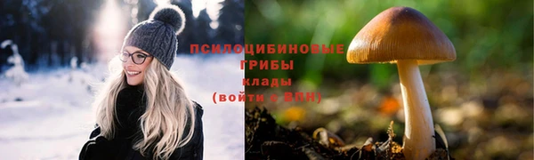 apvp Алзамай