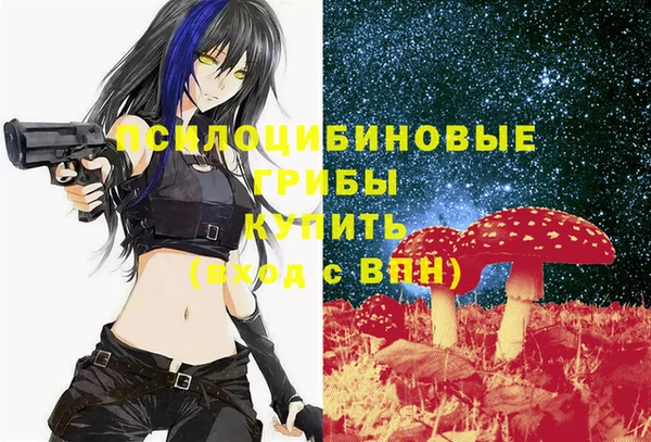 бутират Алексеевка
