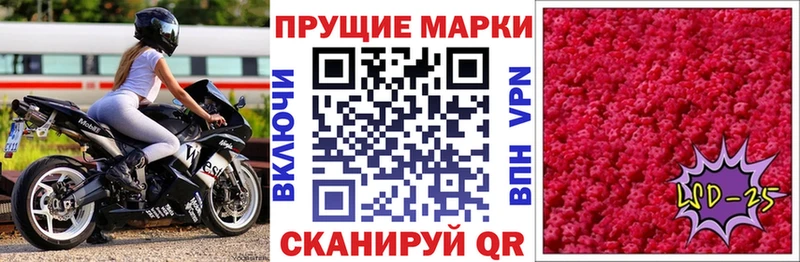 Марки N-bome 1500мкг  MEGA как зайти  Завитинск 